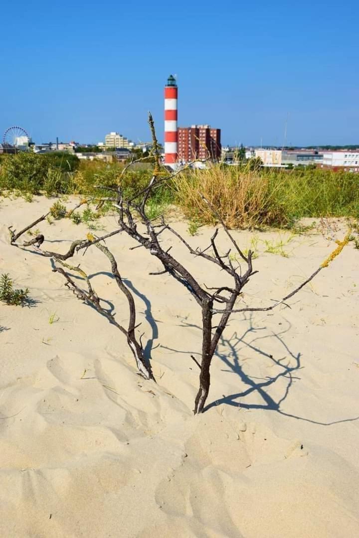 L'alteia: Beachfront With Private Parking * Berck